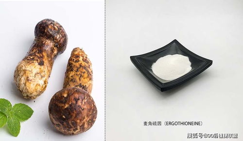 2020 最新植物提取物 化妝品原料 前沿?zé)狳c點評