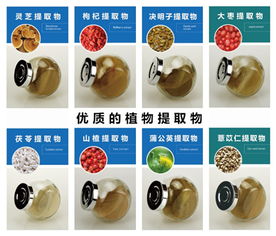 雞內(nèi)金提取物生產(chǎn)廠家 固體飲料代加工 50ml液體飲料代加工 oem